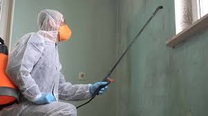 Why You Should Choose Our Mold Remediation Services in Sherwood Manor, CT