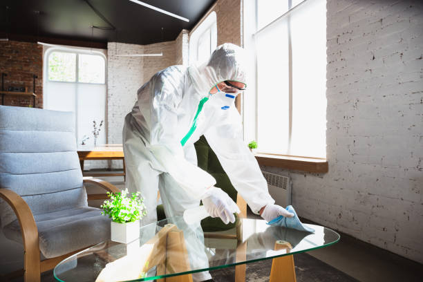 Best Mold Remediation for Healthcare Facilities  in Sherwood Manor, CT